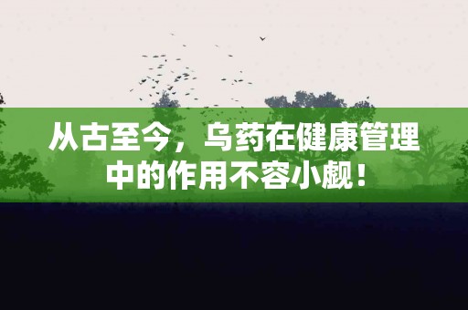 从古至今，乌药在健康管理中的作用不容小觑！