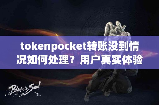 tokenpocket转账没到情况如何处理？用户真实体验分享