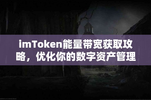 imToken能量带宽获取攻略，优化你的数字资产管理