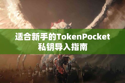 适合新手的TokenPocket私钥导入指南